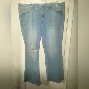 Jeans plus size 22W flare leg